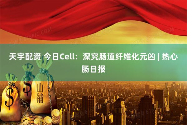 天宇配资 今日Cell：深究肠道纤维化元凶 | 热心肠日报