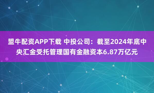 盟牛配资APP下载 中投公司：截至2024年底中央汇金受托管理国有金融资本6.87万亿元